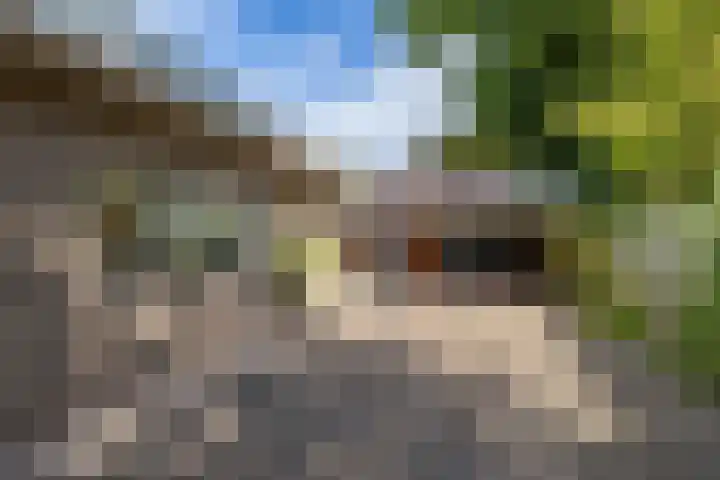 Siemenspark 2 Zuidbroek thumbnail 63