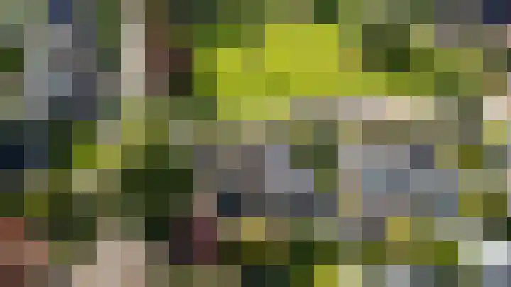 Siemenspark 2 Zuidbroek thumbnail 69