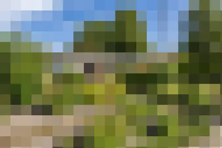 Siemenspark 2 Zuidbroek thumbnail 7