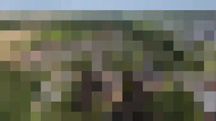 Siemenspark 2 Zuidbroek thumbnail 73