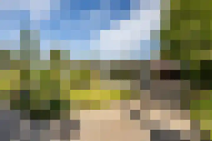 Siemenspark 2 Zuidbroek thumbnail 8