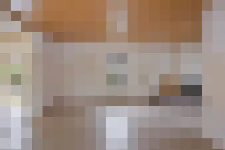 Siemenspark 33 Zuidbroek thumbnail 11