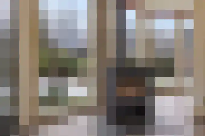 Siemenspark 33 Zuidbroek thumbnail 18