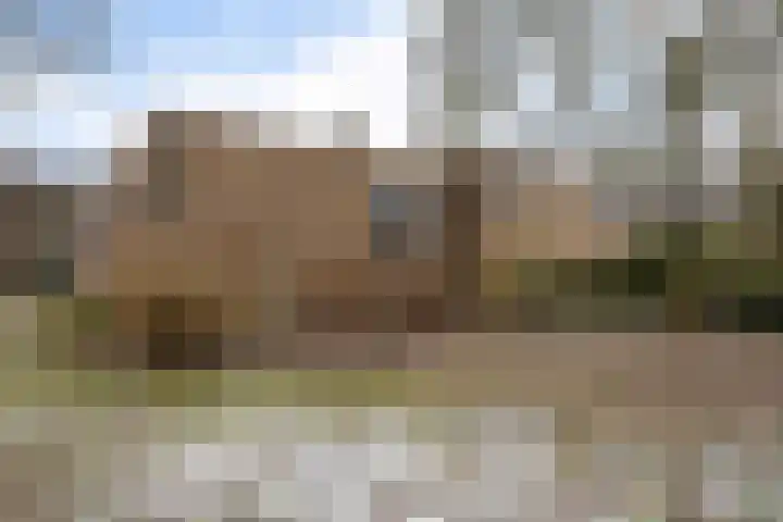 Siemenspark 33 Zuidbroek thumbnail 31