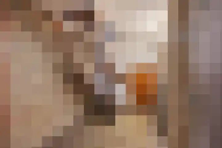 Siemenspark 33 Zuidbroek thumbnail 34