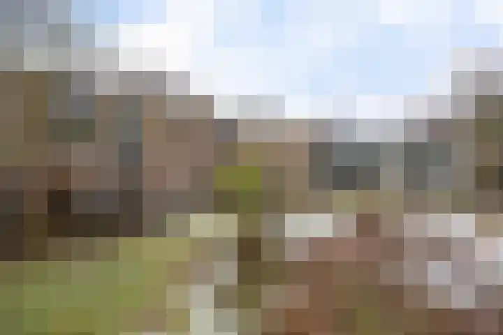 Siemenspark 33 Zuidbroek thumbnail 37