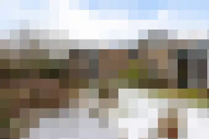 Siemenspark 33 Zuidbroek thumbnail 38