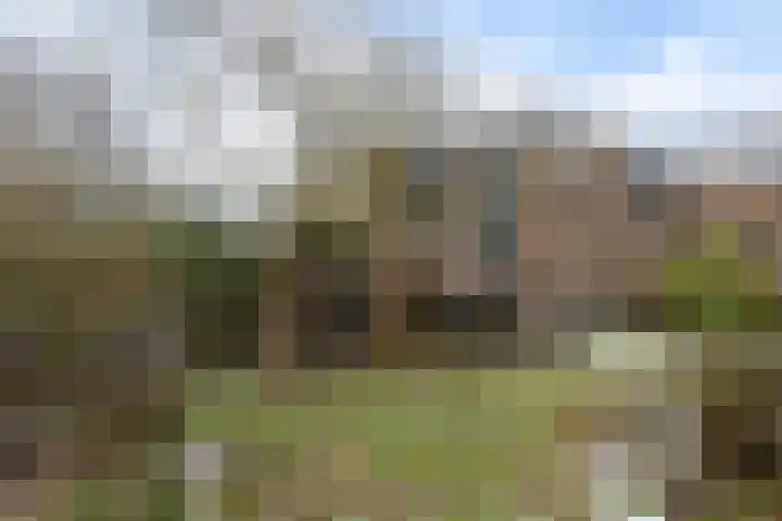 Siemenspark 33 Zuidbroek thumbnail 39