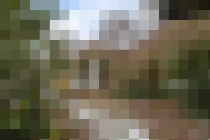 Siemenspark 33 Zuidbroek thumbnail 40