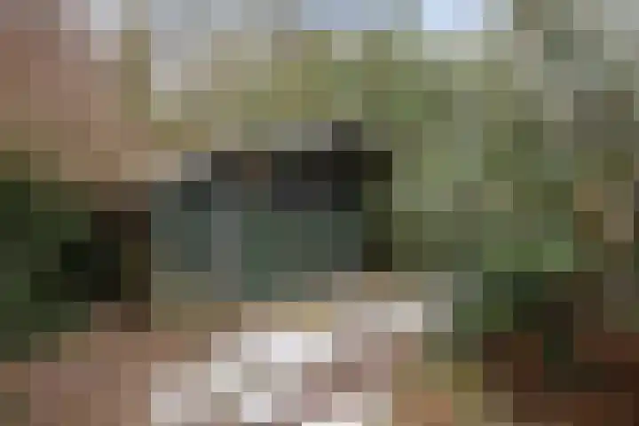 Siemenspark 33 Zuidbroek thumbnail 41