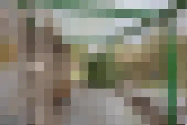 Siemenspark 33 Zuidbroek thumbnail 42