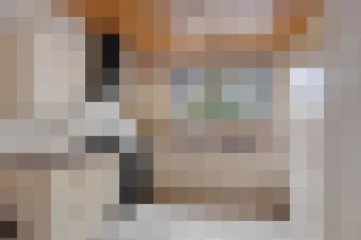 Siemenspark 33 Zuidbroek thumbnail 6
