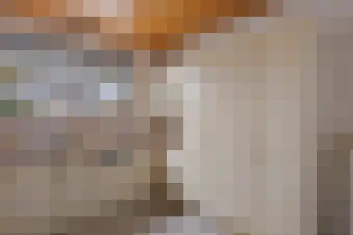 Siemenspark 33 Zuidbroek thumbnail 8