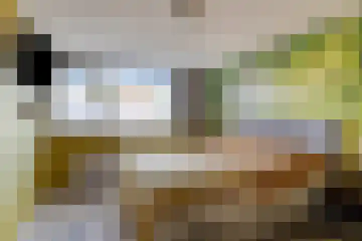Siemenspark 43 Zuidbroek thumbnail 16