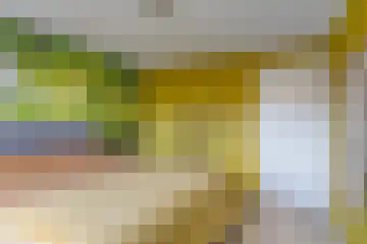 Siemenspark 43 Zuidbroek thumbnail 17