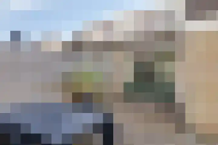 Siemenspark 43 Zuidbroek thumbnail 24