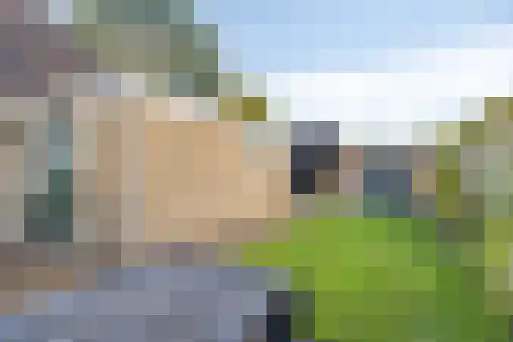 Siemenspark 43 Zuidbroek thumbnail 26