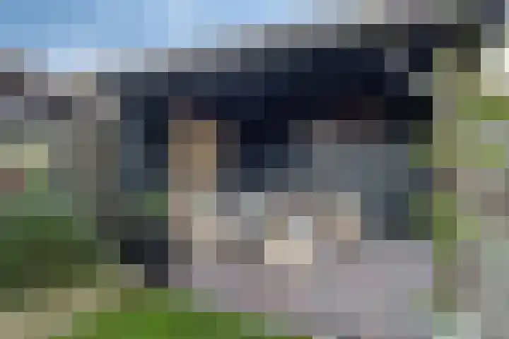 Siemenspark 43 Zuidbroek thumbnail 28