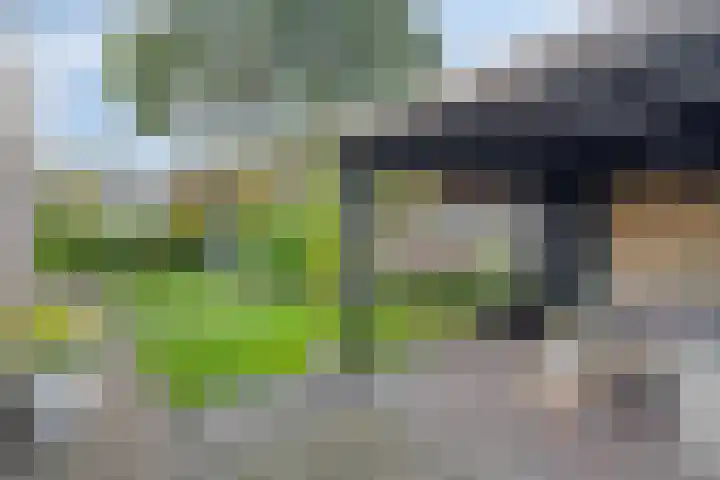 Siemenspark 43 Zuidbroek thumbnail 29
