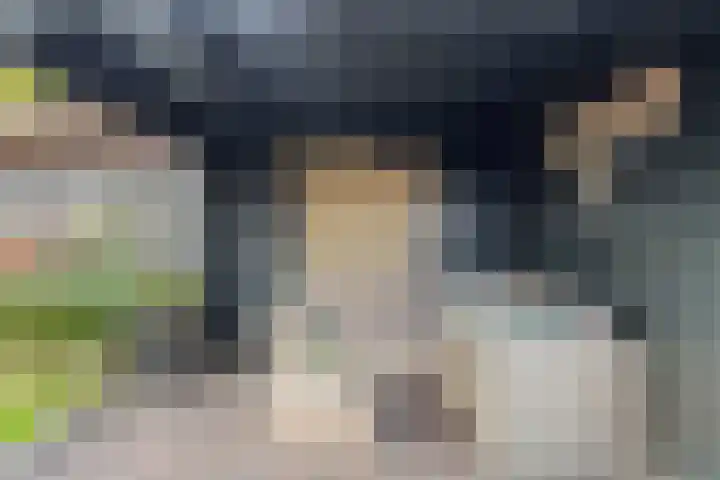 Siemenspark 43 Zuidbroek thumbnail 30