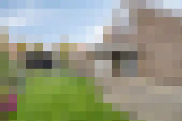 Siemenspark 43 Zuidbroek thumbnail 32