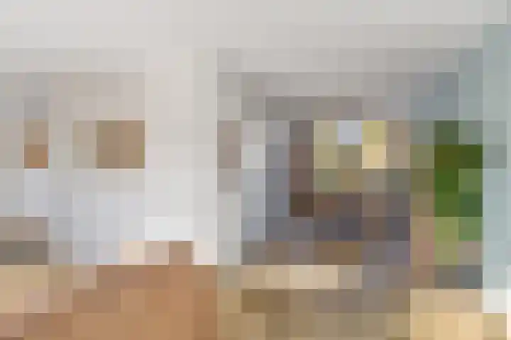Siemenspark 43 Zuidbroek thumbnail 6