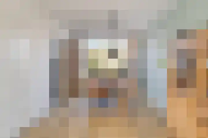 Siemenspark 43 Zuidbroek thumbnail 7