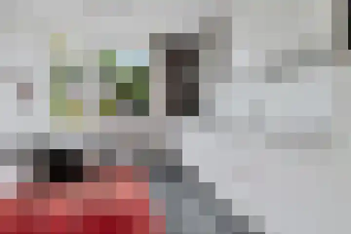 Siemenspark 61 Zuidbroek thumbnail 12