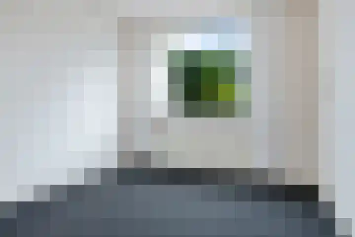 Siemenspark 61 Zuidbroek thumbnail 15
