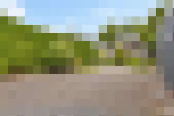 Siemenspark 61 Zuidbroek thumbnail 30