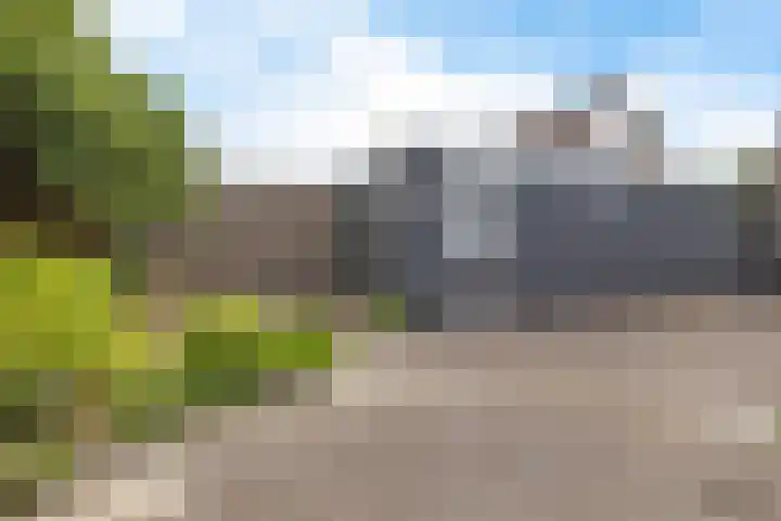 Siemenspark 61 Zuidbroek thumbnail 31