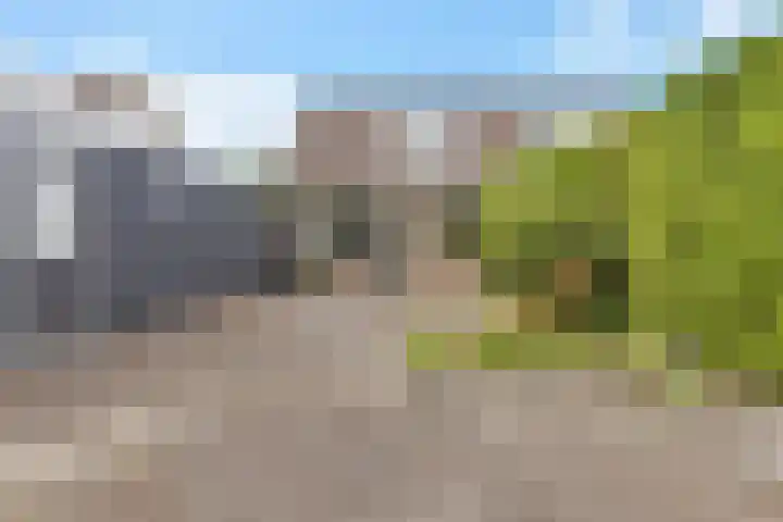 Siemenspark 61 Zuidbroek thumbnail 32