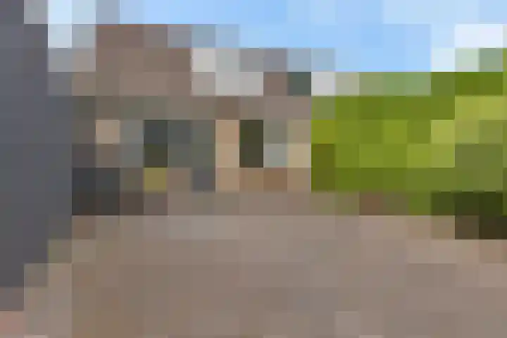 Siemenspark 61 Zuidbroek thumbnail 33