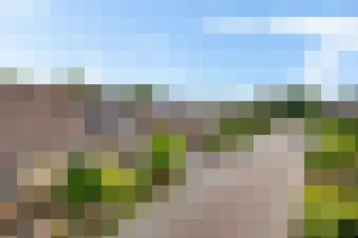 Siemenspark 61 Zuidbroek thumbnail 34