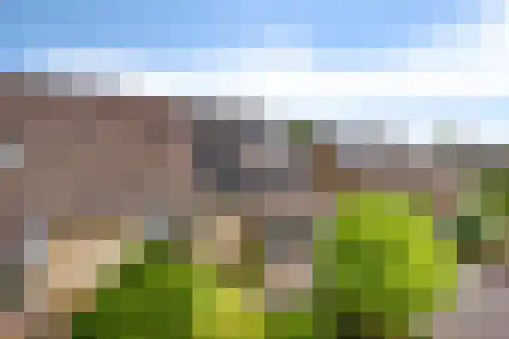 Siemenspark 61 Zuidbroek thumbnail 35