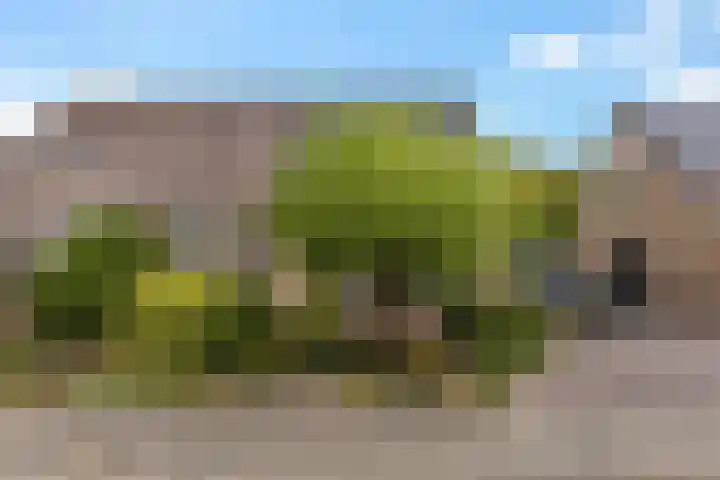 Siemenspark 61 Zuidbroek thumbnail 36
