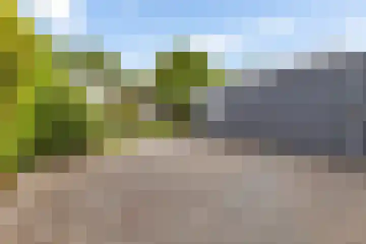 Siemenspark 61 Zuidbroek thumbnail 4