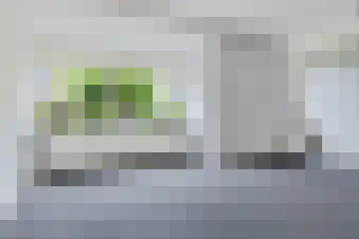 Siemenspark 61 Zuidbroek thumbnail 8