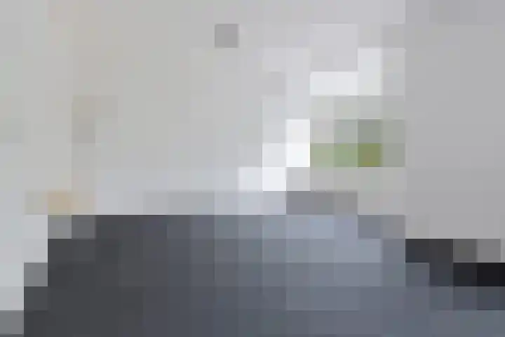 Siemenspark 61 Zuidbroek thumbnail 9