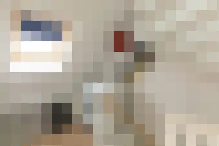 Siemensstraat 21 Hilversum thumbnail 20