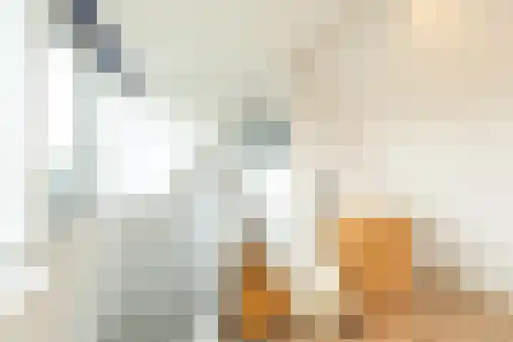 Siemensstraat 21 Hilversum thumbnail 22