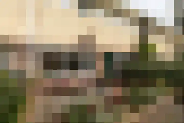 Siemensstraat 21 Hilversum thumbnail 29