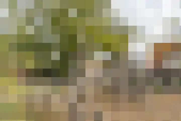 Siemensstraat 21 Hilversum thumbnail 32