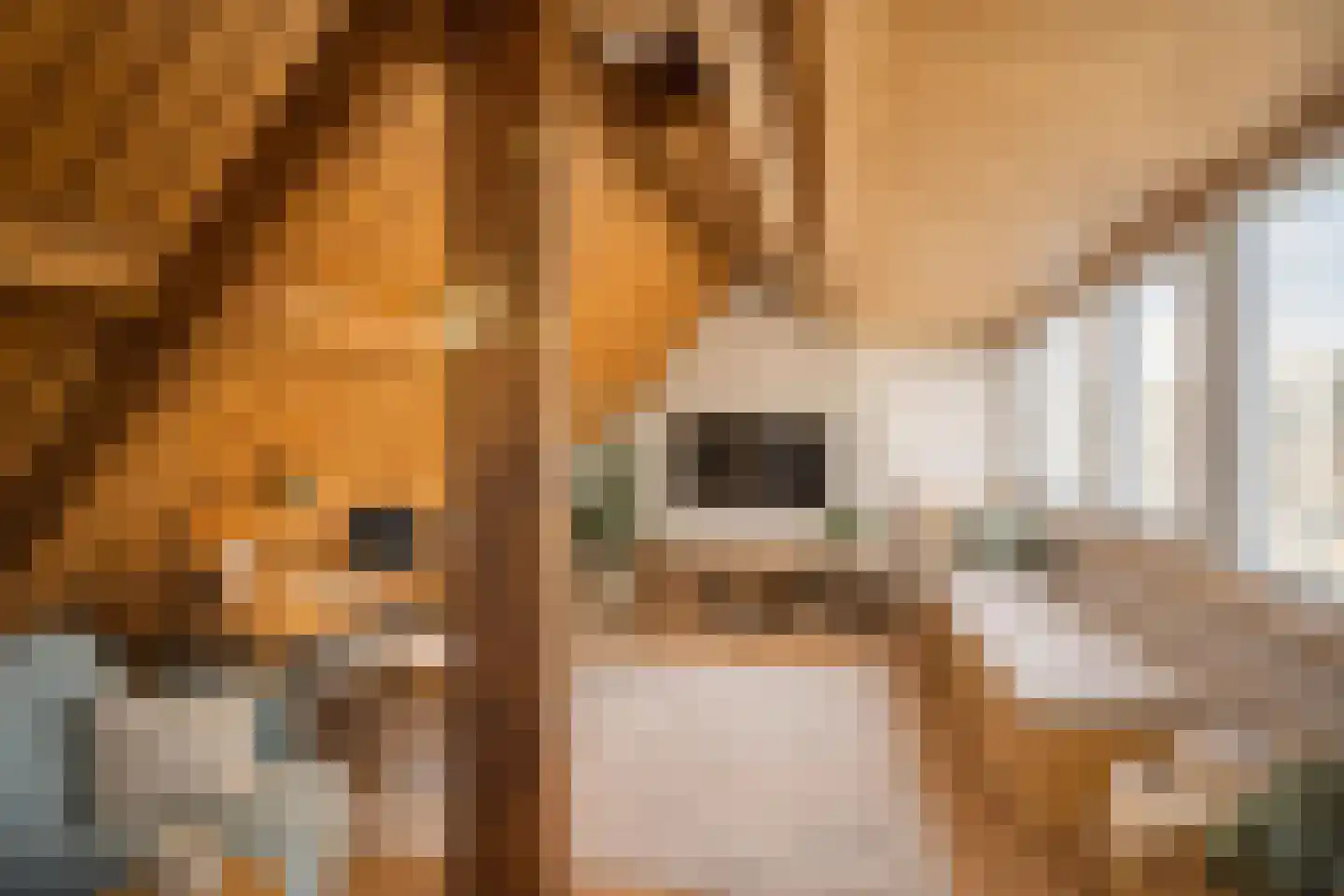 Siemensstraat 25 Hilversum thumbnail 31