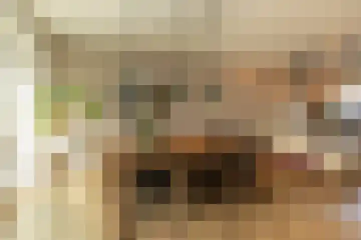 Siemensstraat 4 Hilversum thumbnail 10