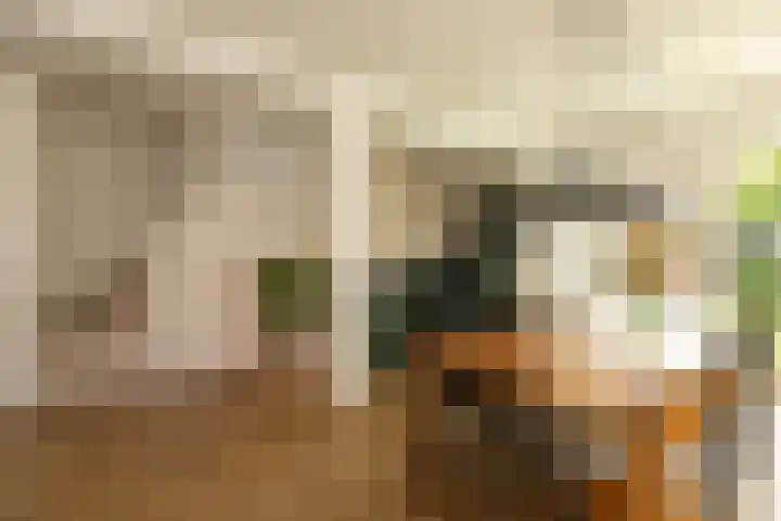 Siemensstraat 4 Hilversum thumbnail 11