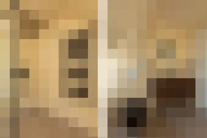 Siemensstraat 4 Hilversum thumbnail 18