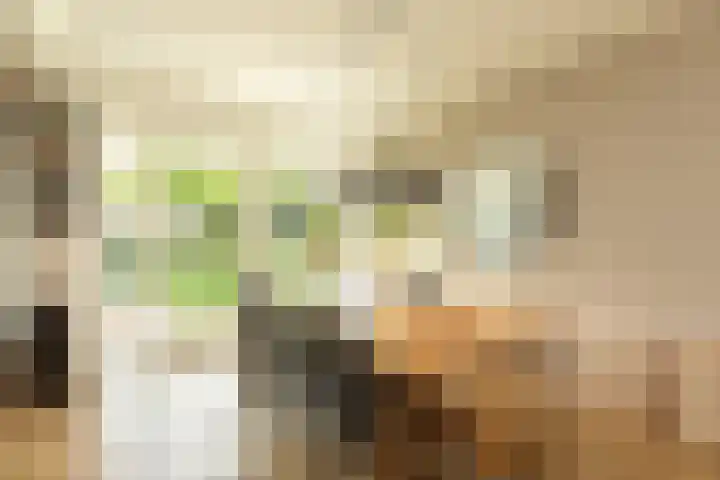 Siemensstraat 4 Hilversum thumbnail 9