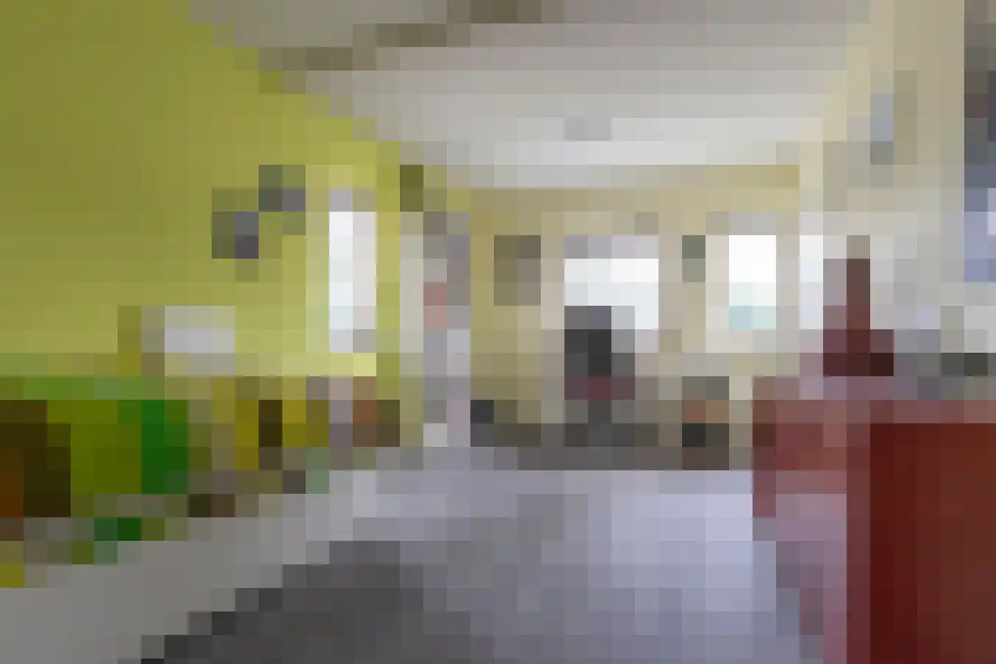 Siemkushofstraat 43 Weert thumbnail 27