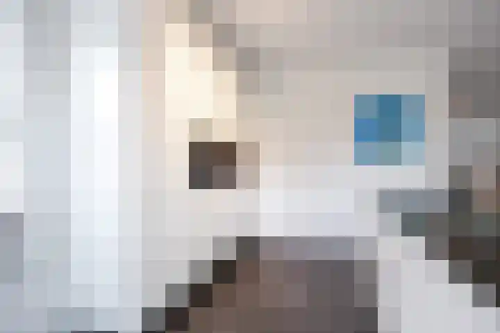 Sien Jensemalaan 29 Winsum thumbnail 17
